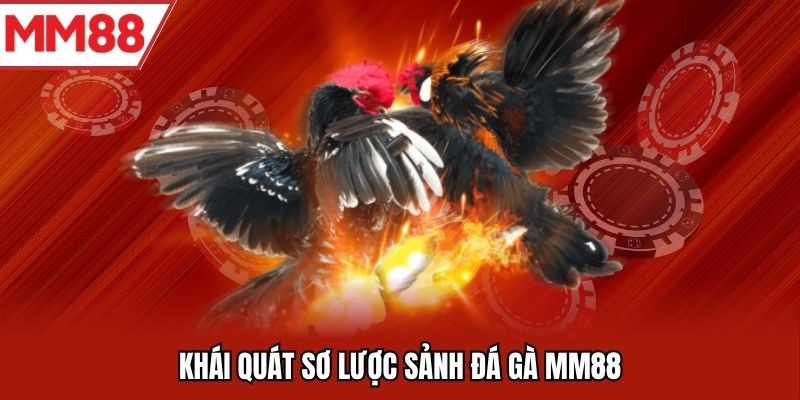 Khái quát sơ lược sảnh đá gà MM88