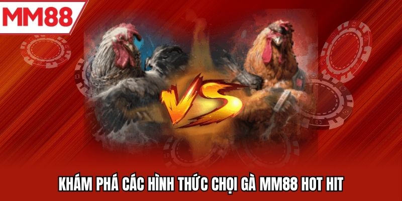 Khám phá các hình thức chọi gà MM88 hot hit